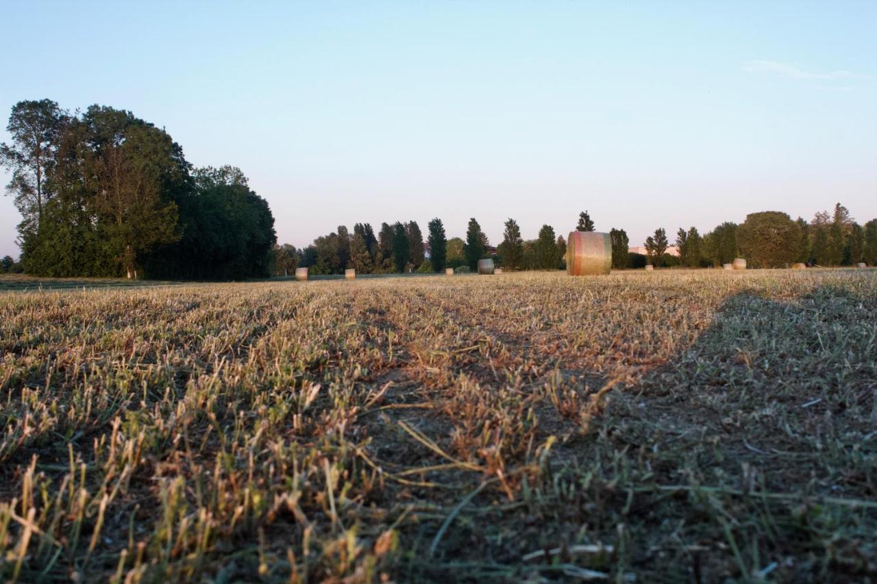 Il Gesuita Farm stay Mantova