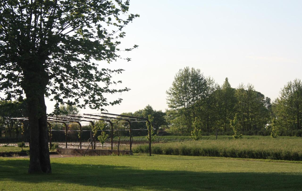 Il Gesuita Farm stay