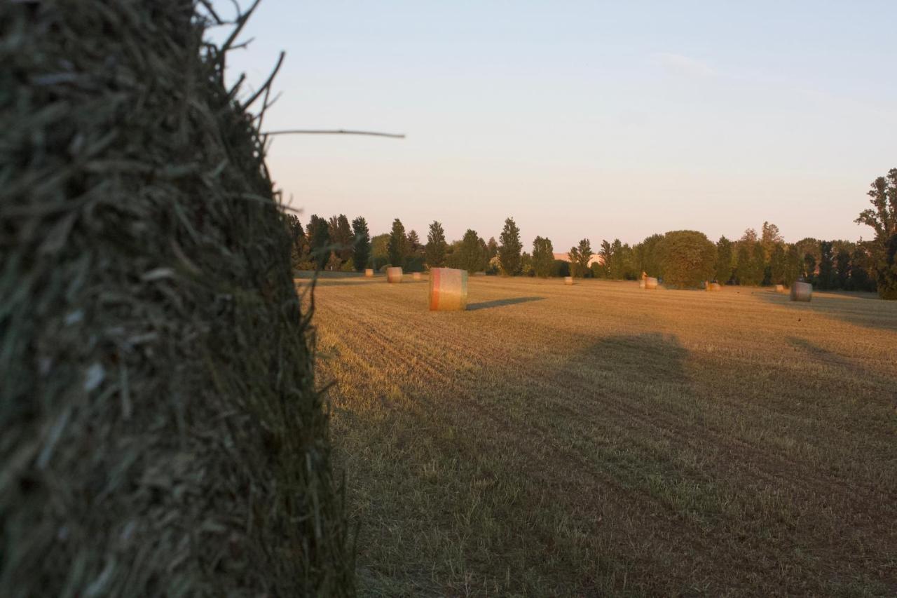 Il Gesuita Farm stay Mantova